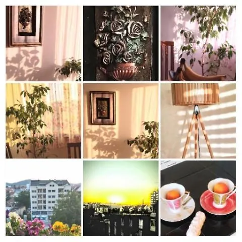 Lena 公寓 阿然德洛维克